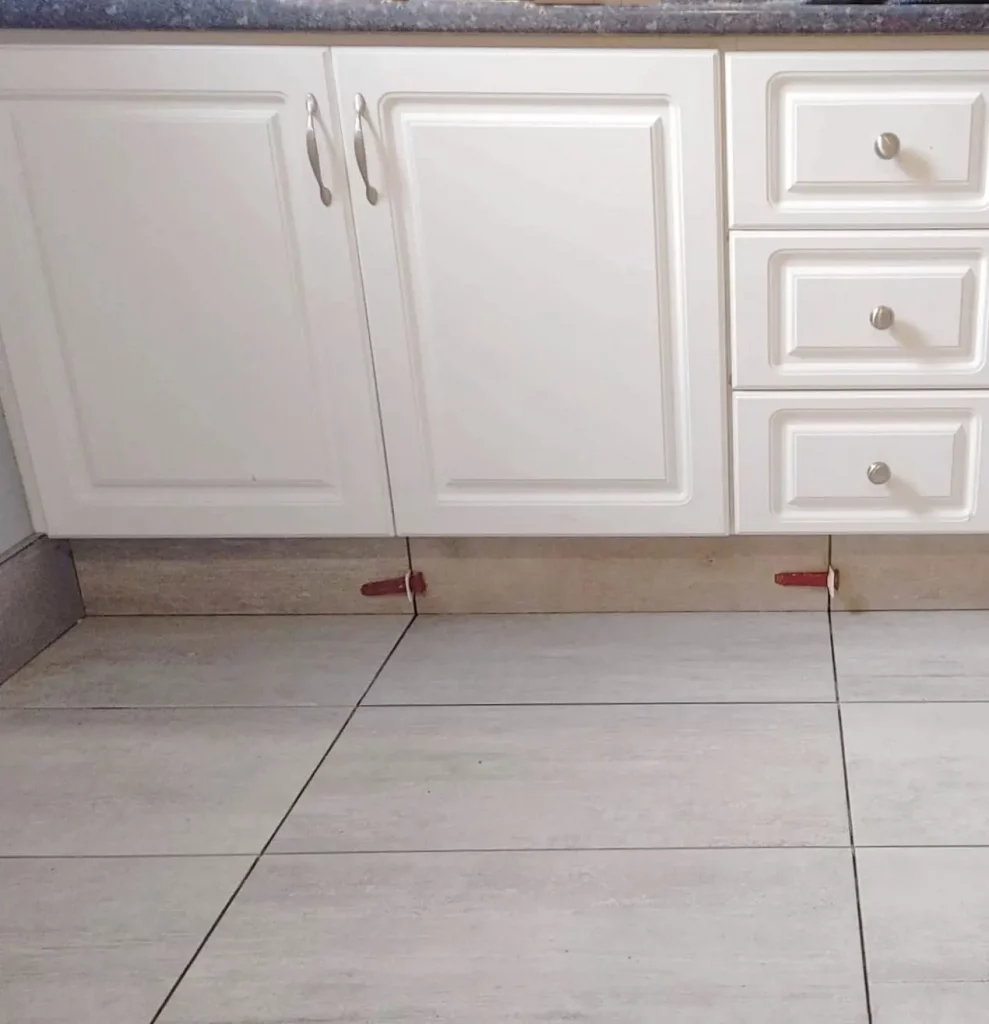 IMG_20230406_215833_676